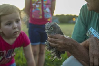 Image of a young girl looking at a small owl
