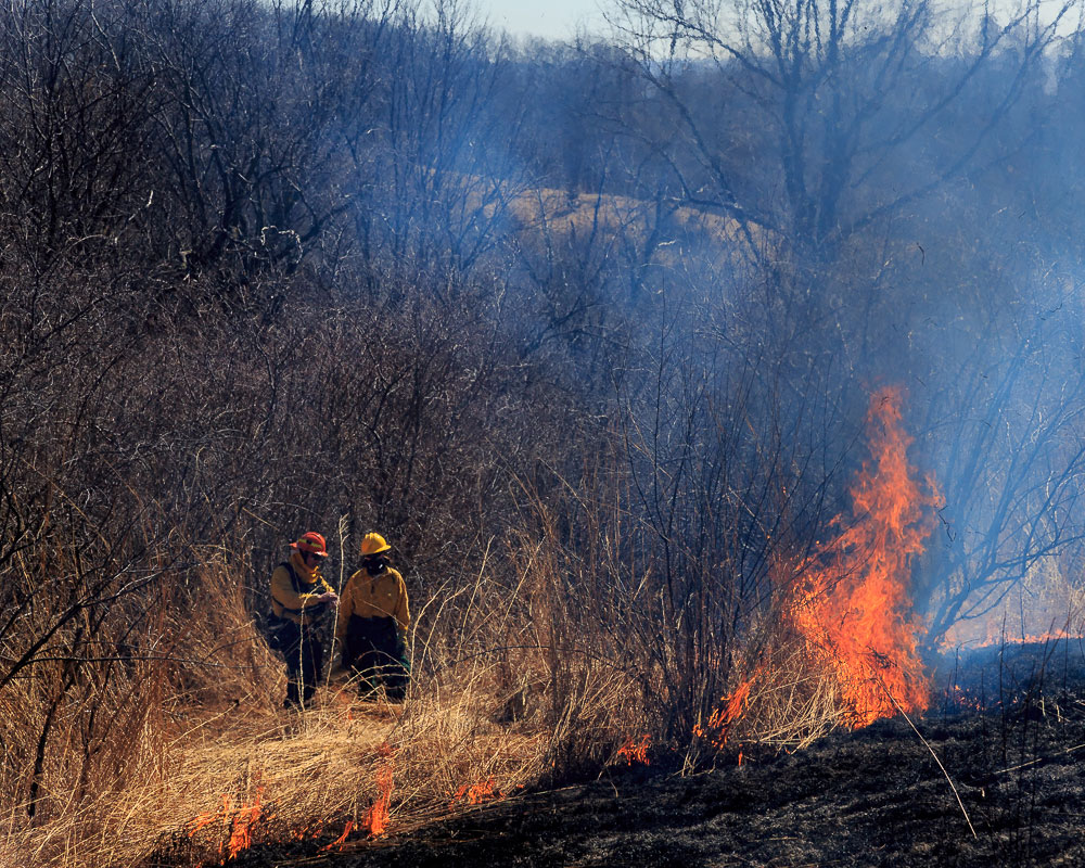 A picture of a controlled burn