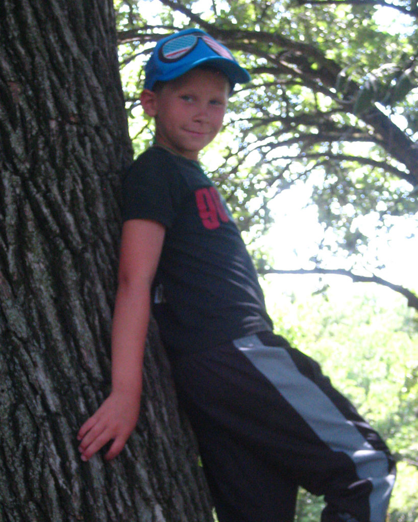 picture of a boy in a tree