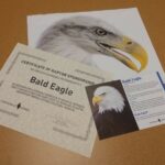 A picture of Fontenelle Forest's Eagle Gift Package, including an 8×10 photo of an eagle, a fact card about that species, and a certificate of support.
