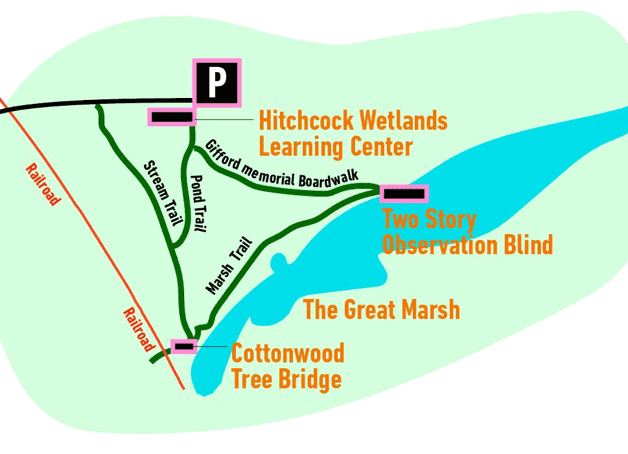 The great marsh trail