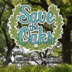 Save the oaks graphic