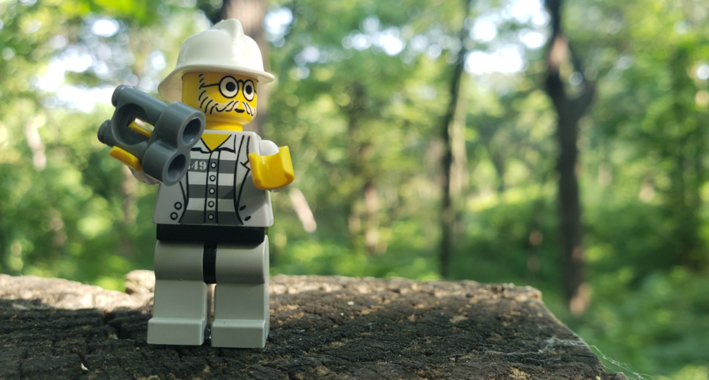 A picture of a lego figure who is exploring the forest