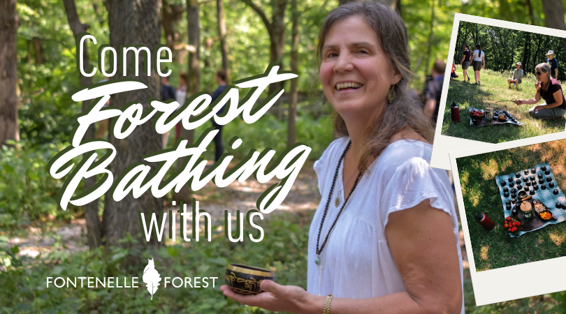 Come Forest Bathing with Us graphic