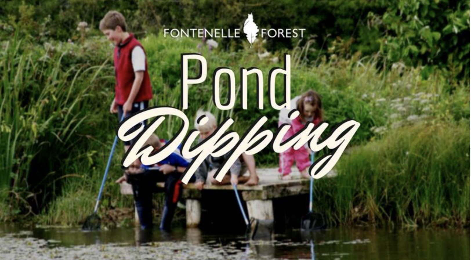 Pond Dipping graphic