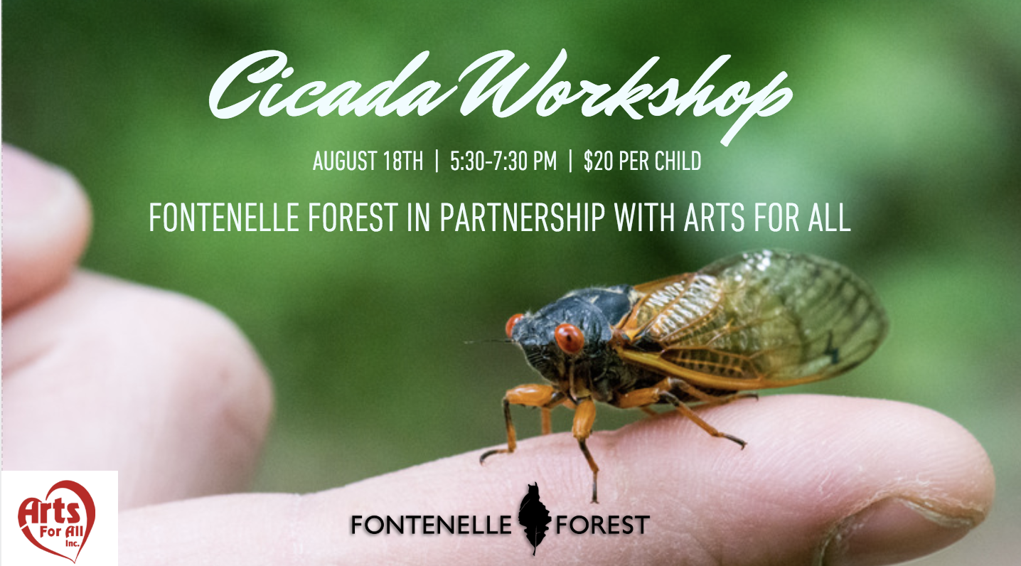 Cicada Workshop graphic