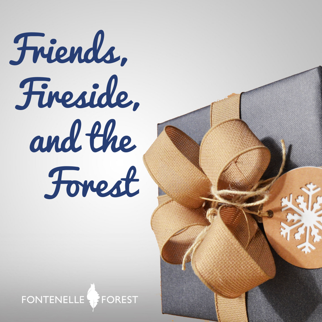 Friends, Fireside, and the Forest graphic
