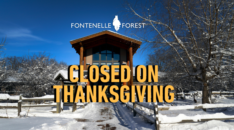 Closed on Thanksgiving graphic