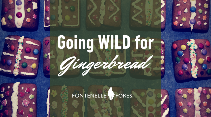 Going Wild for Gingerbread infographic