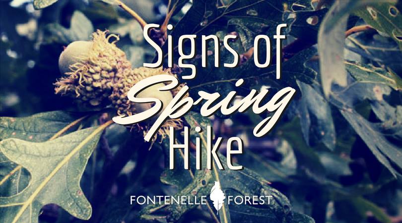 Signs of Spring Hike Graphic