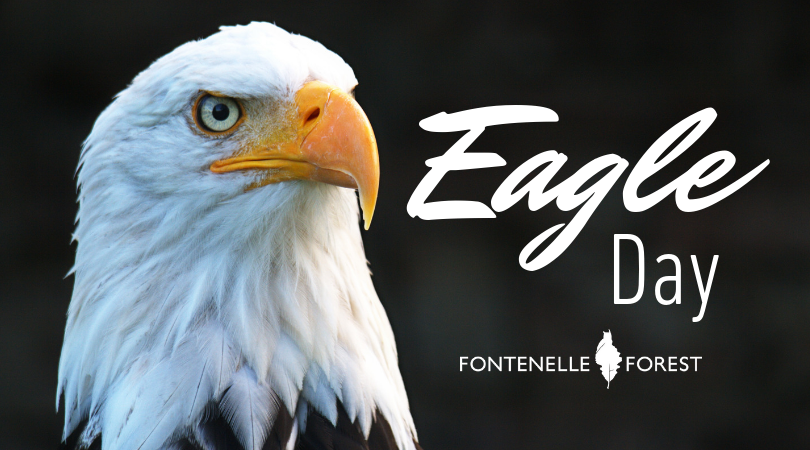 Eagle Day graphic