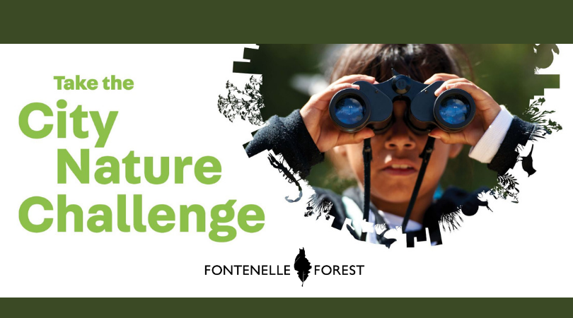 City Nature Challenge graphic