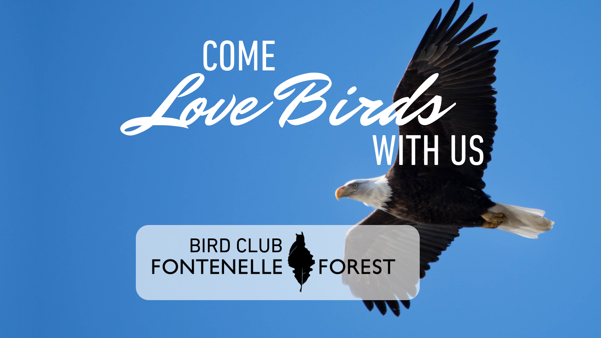 Come Love Birds with Us graphic