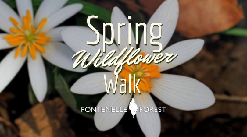 Spring Wildflower Walk graphic