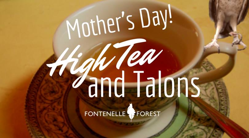 Mother's Day High Tea and Talons graphic