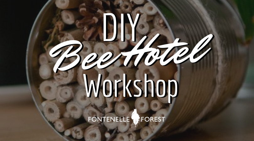 DIY Bee Hotel Workshop graphic