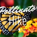 Pollinator Hike graphic
