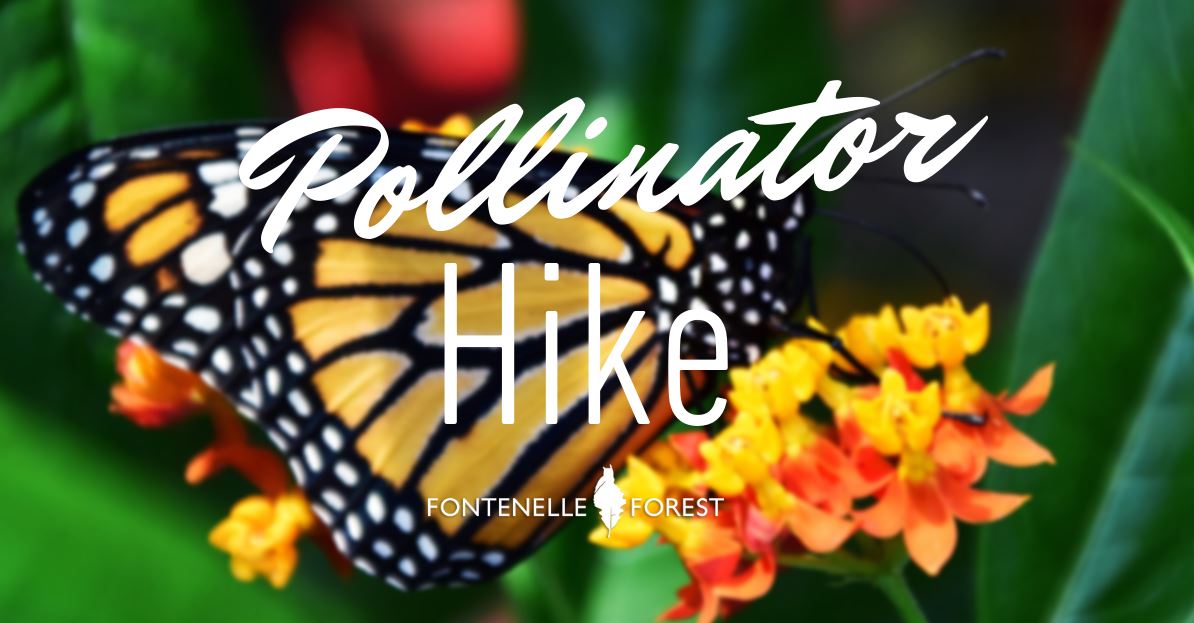 Pollinator Hike graphic