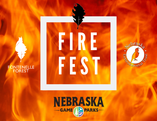 Fire Fest graphic