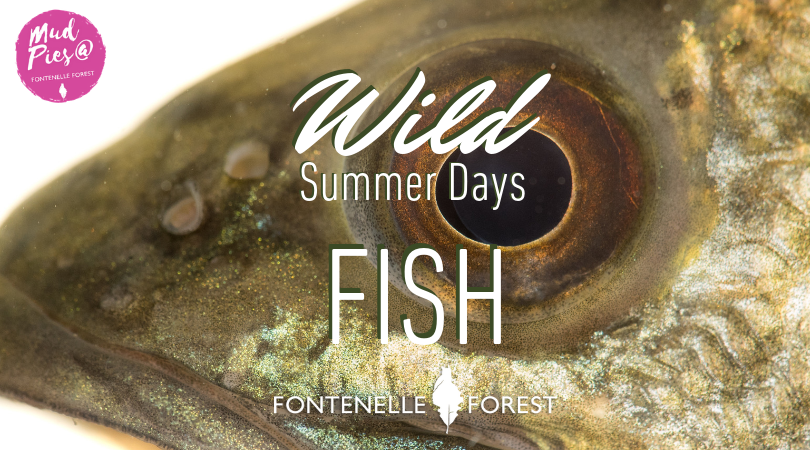 Wild Summer Days Fish graphic