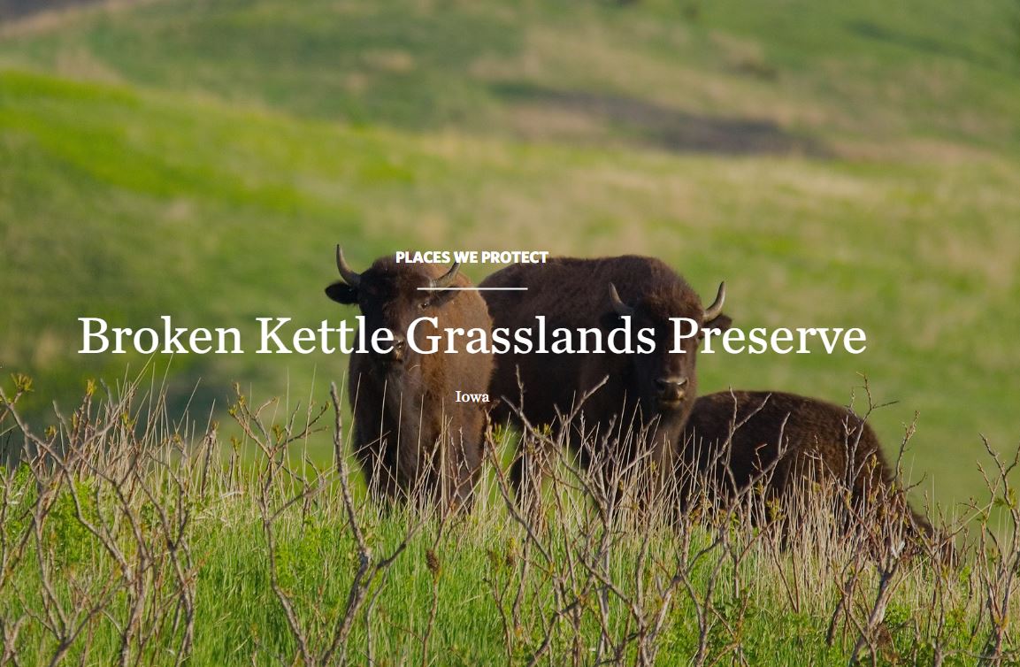 Broken Kettle Grasslands Preserve image