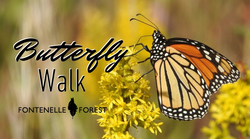 Butterfly Walk graphic