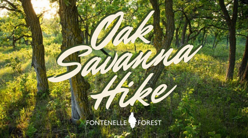 Oak Savanna Hike graphic