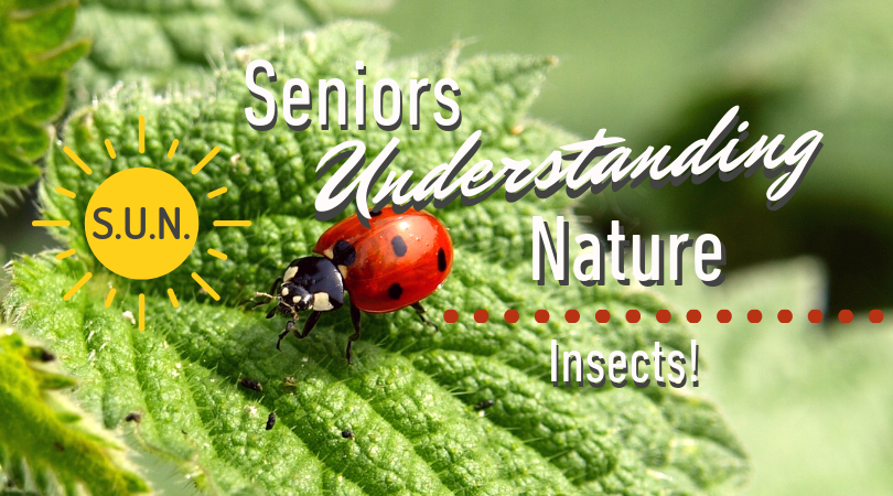 Seniors Understanding Nature (SUN) insects graphic