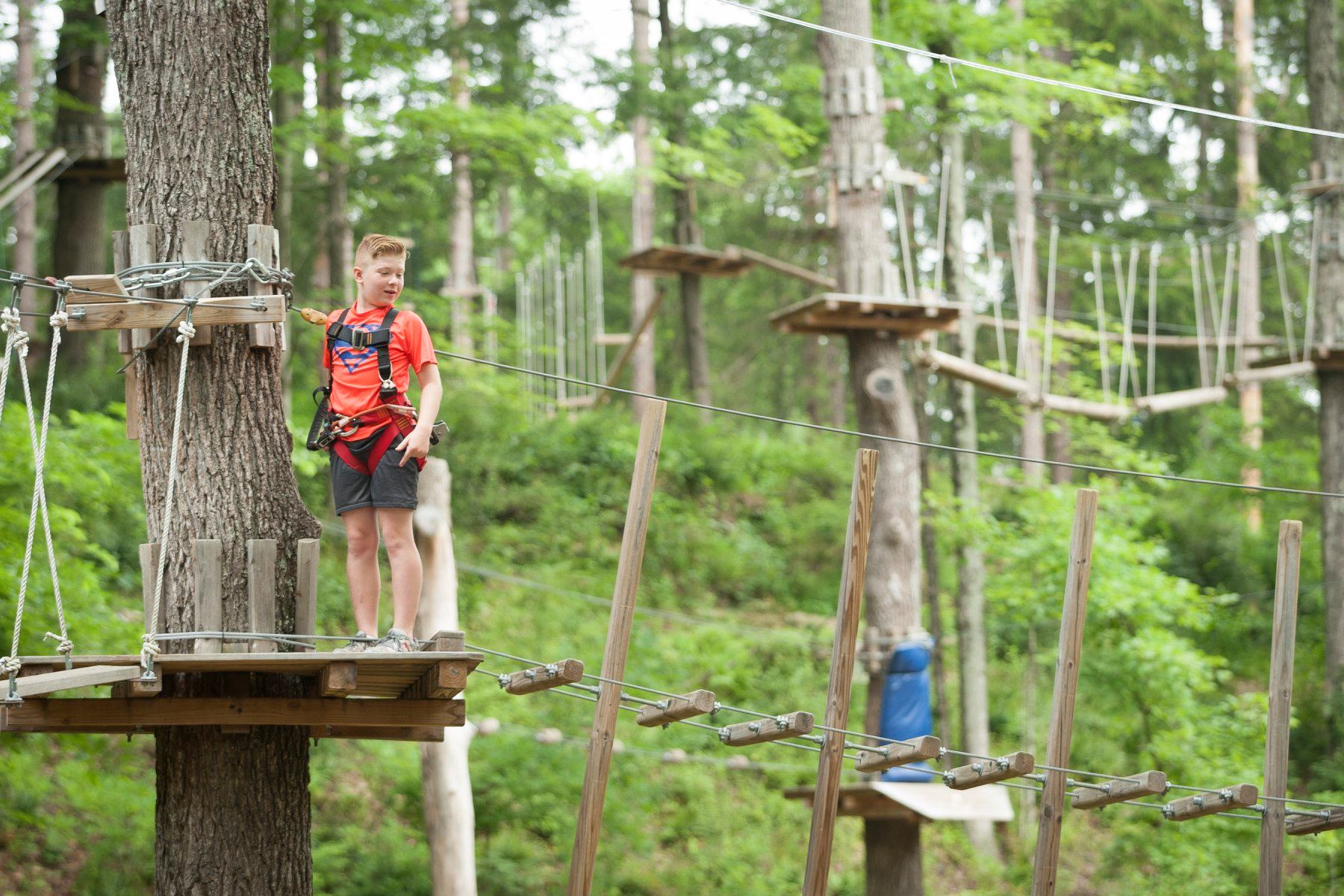 Children partaking in the tree rush ropes course