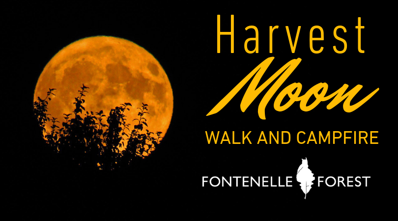 Harvest Moon Walk and Campfire graphic