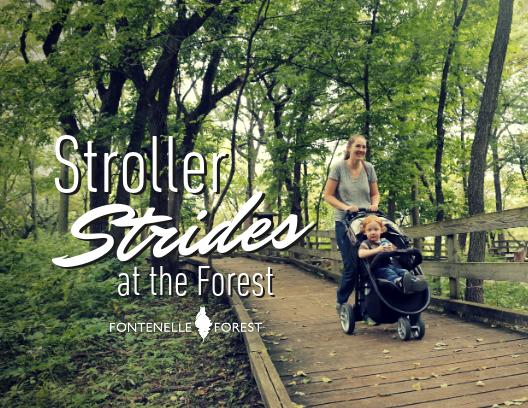 Stroller Strides at the Forest inforgraphic