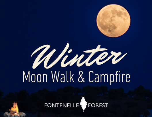 Winter Moon Walk & Campfire infographic