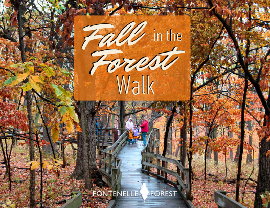 Fall in the Forest Walk infographic