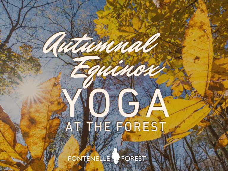 Annual Equinox Yoga at the Forest graphic