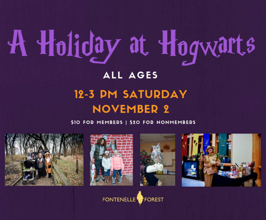 A Holiday at Hogwarts infographic