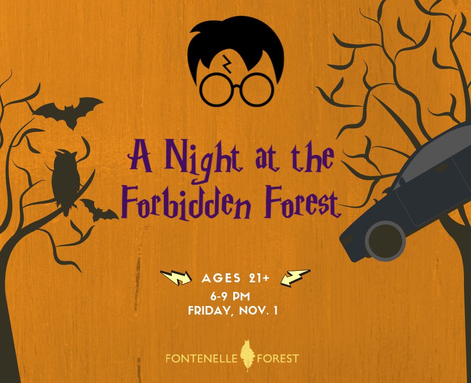 A Night in the Forbidden Forest infographic