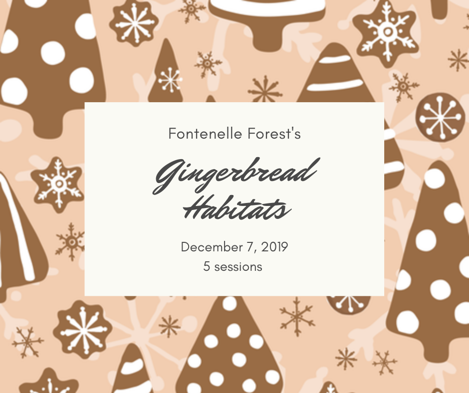 Gingerbread Habitats 2019 Inforgraphic