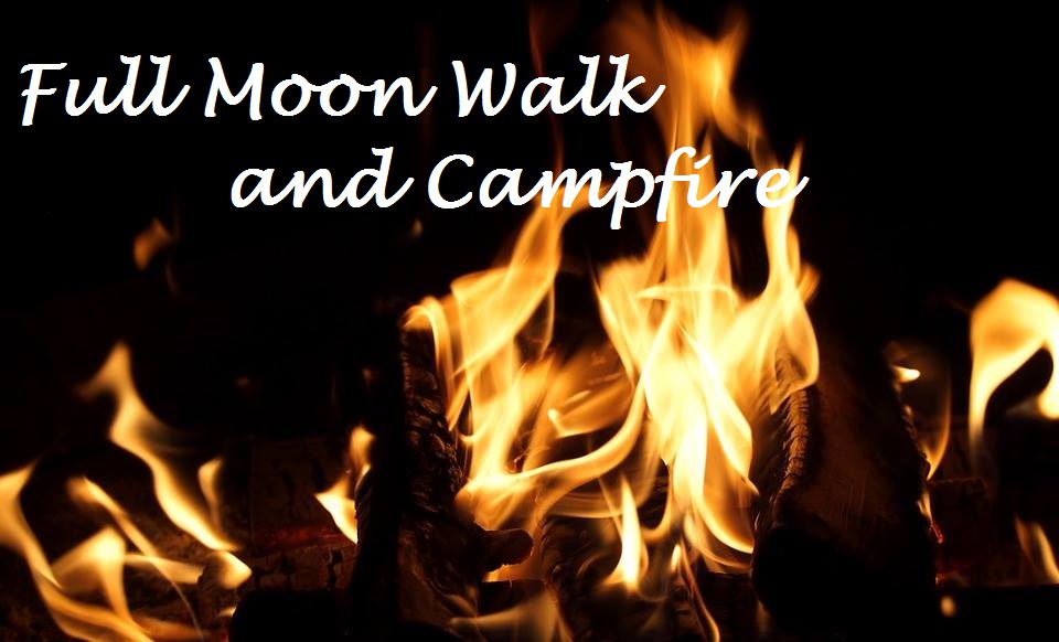 a campfire at night picture. It has the white text, "Full Moon Walk and Campfire".