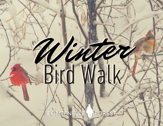 two cardinals in the woods in winter with the text, "Winter Bird Walk" with the Fontenelle Forest logo in white.