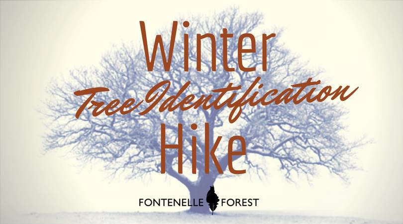a silhouette of a tree with the words "Winter Tree Identification Hike" and the Fontenelle Forest logo