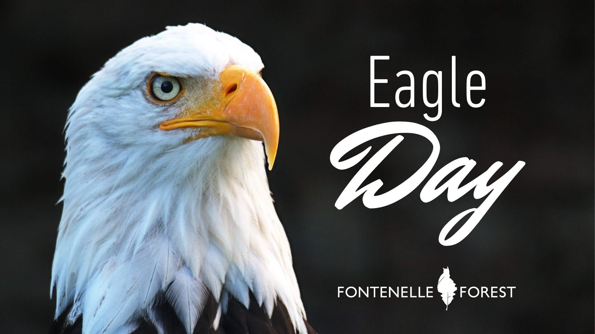 an eagle head with the text "Eagle Day" and the Fontenelle Forest logo