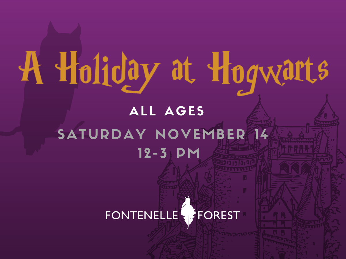 A purple background with a gray shadow of an owl and a castle in the background. It has the text in yellow: "A Holiday at Hogwarts" then in white text: "ALL AGES" then below it: "SATURDAY NOVEMBER 14" then below it: " 12 - 3 PM"  then the Fontenelli Forest logo below it in white.