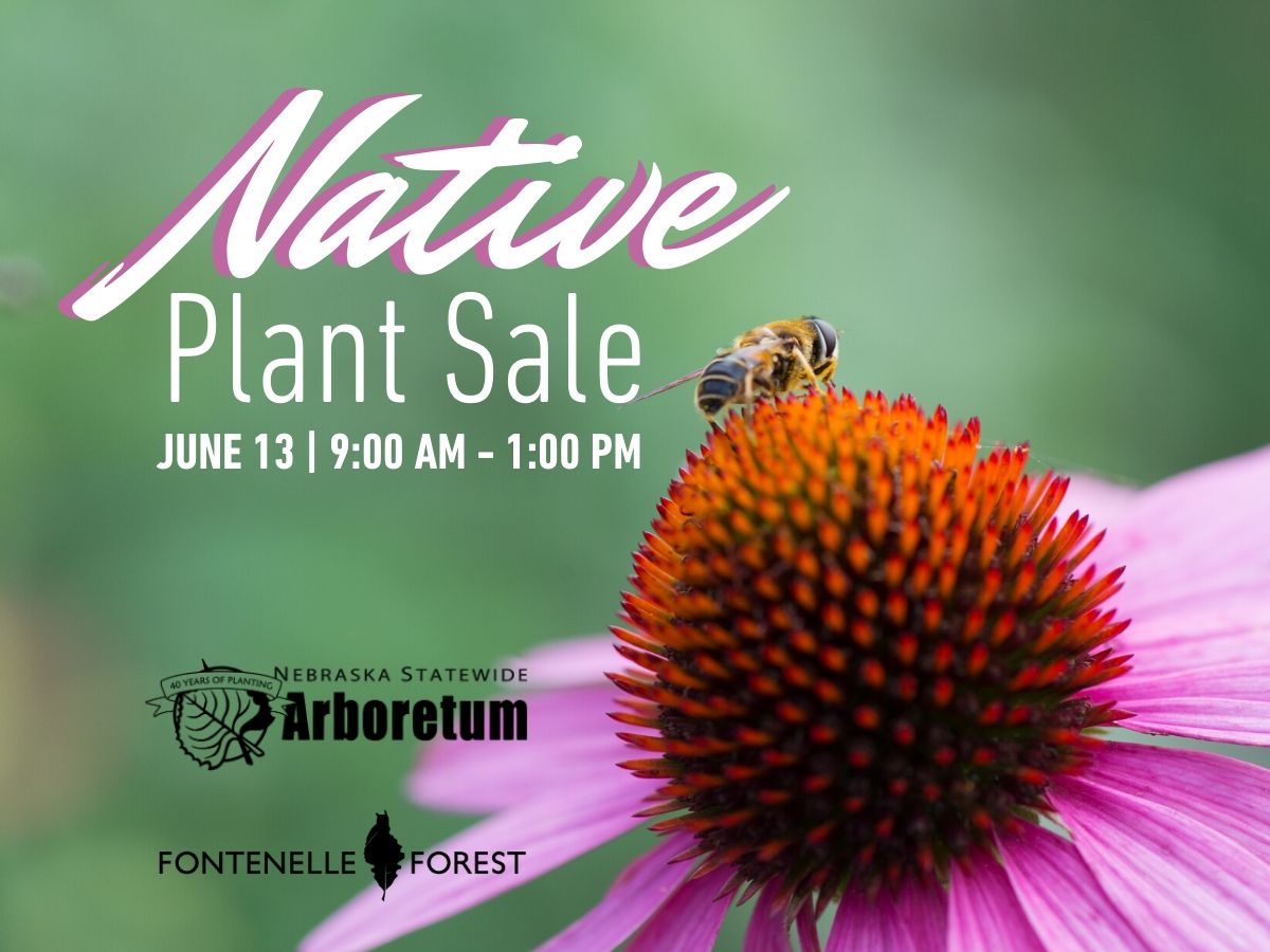 A picture of a flower with a bee on it. It has the text, "Nature Plant Sales JUNE 13 I 9:00 AM - 1:00 PM" it then has the Fontenelle Forest and Arboretum logos.