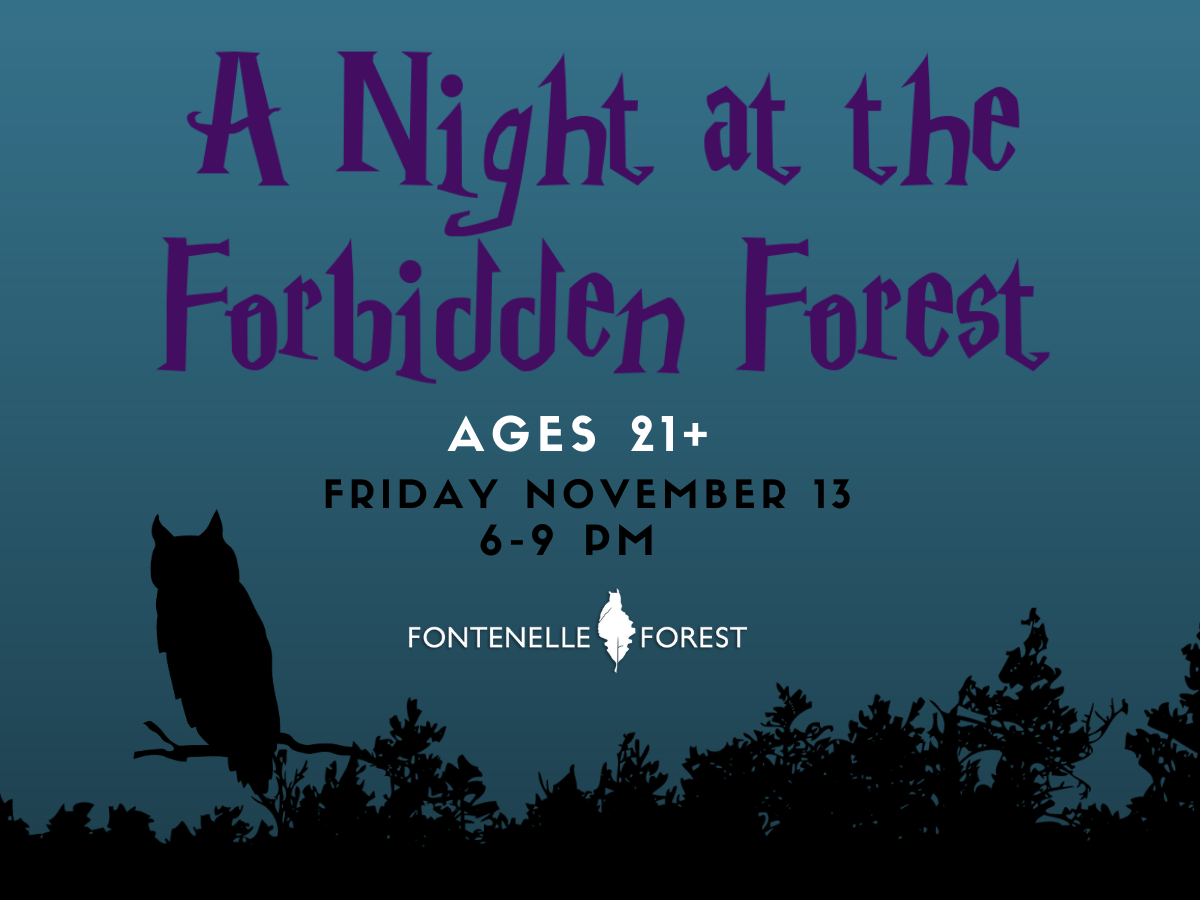 a dark blue background with black silhouettes of a forest and an owl. It has the text, "A Night at the Forbidden Forest AGES 21+ FRIDAY NOVEMBER 13 6-9 PM" and the Fontenelle Forest logo