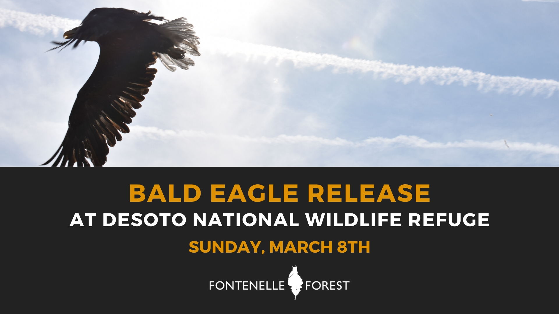 a picture of a large bird flying in the sky. It has a black footer that says, "BALD EAGLE RELEASE AT DESOTO NATIONAL WILDLIFE REFUGE SUNDAY, MARCH 8TH" then it has the Fontenelle Forest logo in white.
