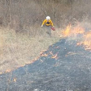 a guy monitoring a fire.