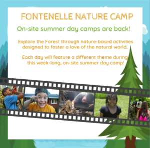 Fontenelle Forest Nature Camp advertisement