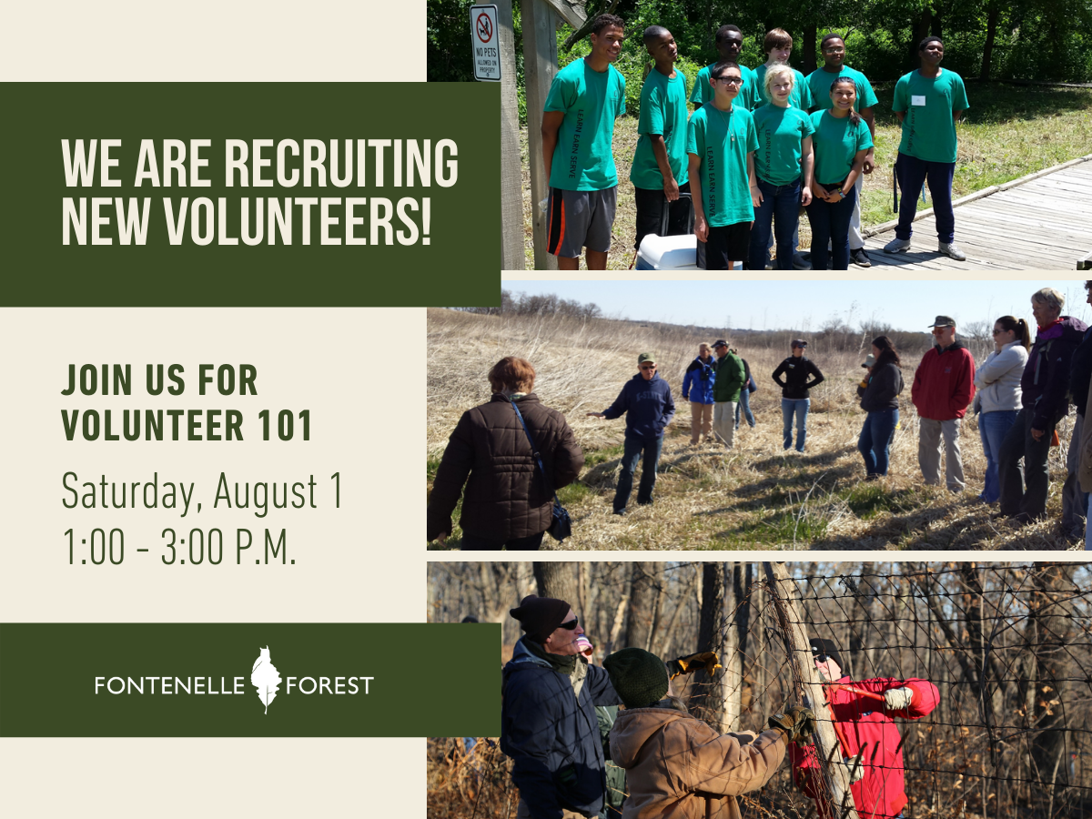 Thre pictures of people outside with the text "WE ARE RECRUITING NEW VOLUNTEERS! JOIN US FOR VOLUNTEER 101 Saturday, August 1 1:30 - 3:00 PM" It has the Fontenelle Forest logo in white text and a green banner