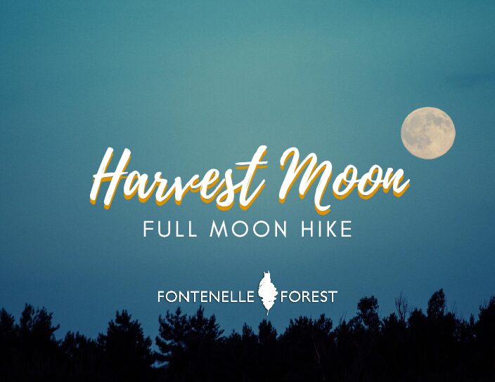 Pictures a dark blue sky at night with silhouettes of trees and a full moon. The text in cream is "Harvest Moon" then on the next line "FULL MOON HIKE", with the Fontenelle Forest logo in white underneath.