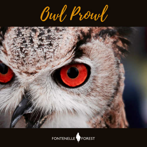a picture of an owl with a black header that has the yellow text, "Owl Proud" and the Fontenelle Forest logo in white text in a black footer.